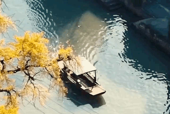 正文 14.gif